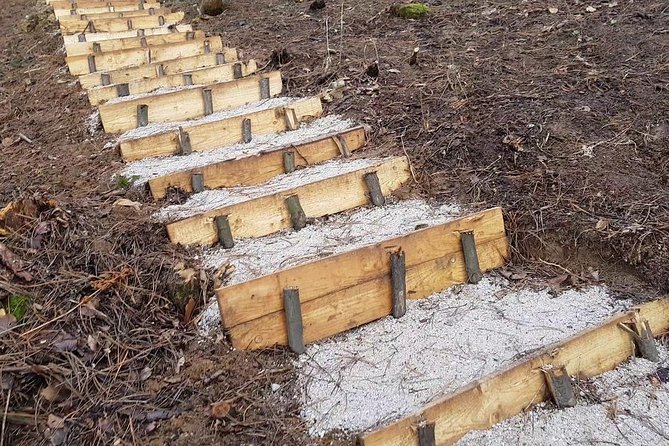 Ancient Bosnian Pyramid of the Sun - The tunnels, preservation claims, and energy stories