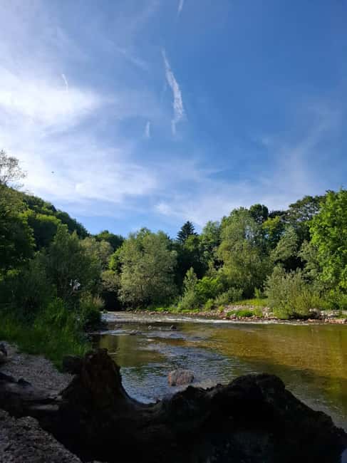 Bentbaša: Guided Walking Tour - Following the Miljacka River through Bentbaša