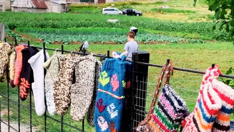 Bosnia's Nomad Havens: Lukomir & Umoljani - Getting back to Sarajevo after a full day