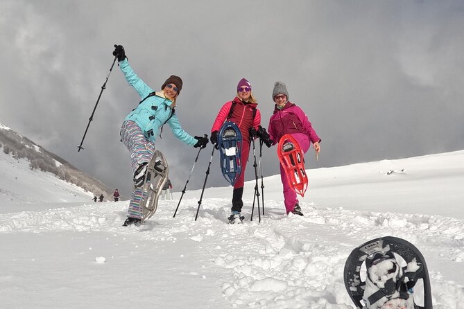 Experience Snowshoeing in Olympic Mountain Bjelašnica - Key details at a glance