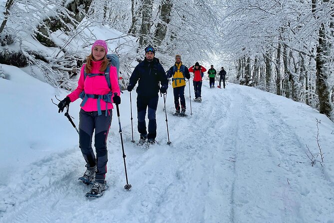 Experience Snowshoeing in Olympic Mountain Bjelašnica - What the snowshoe walk is really like