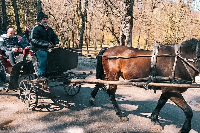 From Sarajevo: Bijambare Cave and Spring of River Bosna Tour - What the $49.30 price really covers