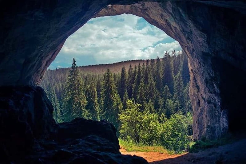 From Sarajevo: Bijambare Caves and Nature Park - Forest paths, endemic plants, and local wildlife