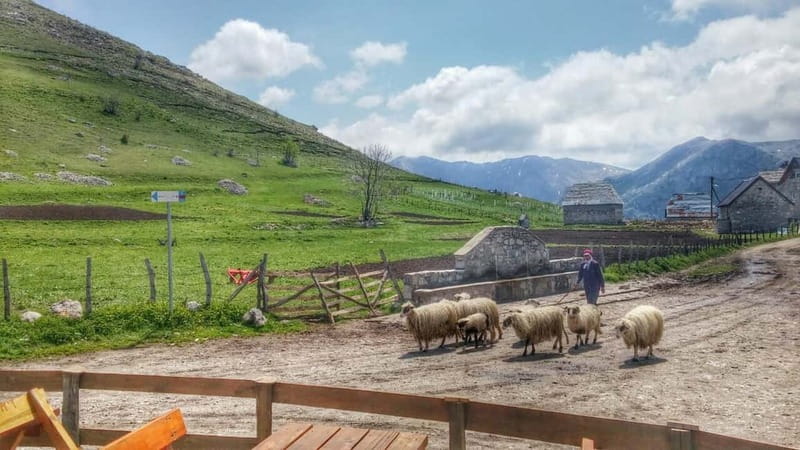 From Sarajevo: Full-Day Hike to Lukomir Village - Who should book this Sarajevo mountain day?