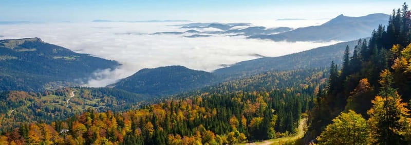 From Sarajevo: Olympic Mountains Private Trip - Guides make the difference