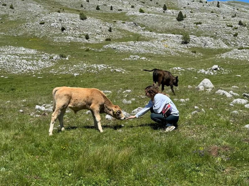 From Sarajevo: Private Lukomir Village 4x4 Safari - Who should book the Lukomir 4x4 safari?