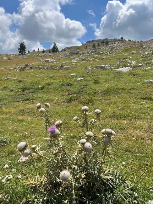 Hiking around Sarajevo: Lukomir Village Full Day Hiking Tour - Mountain weather is the one serious variable