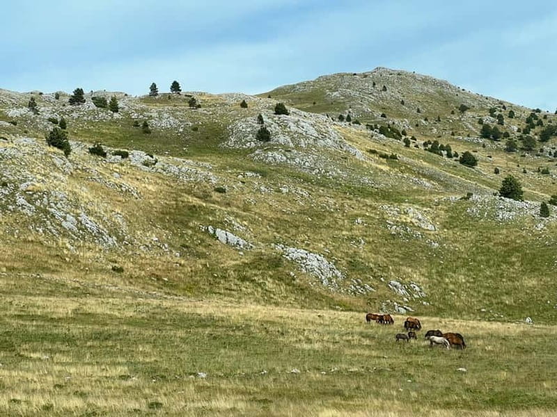 Hiking around Sarajevo: Lukomir Village Full Day Hiking Tour - From Sarajevo to Umoljani by air-conditioned van