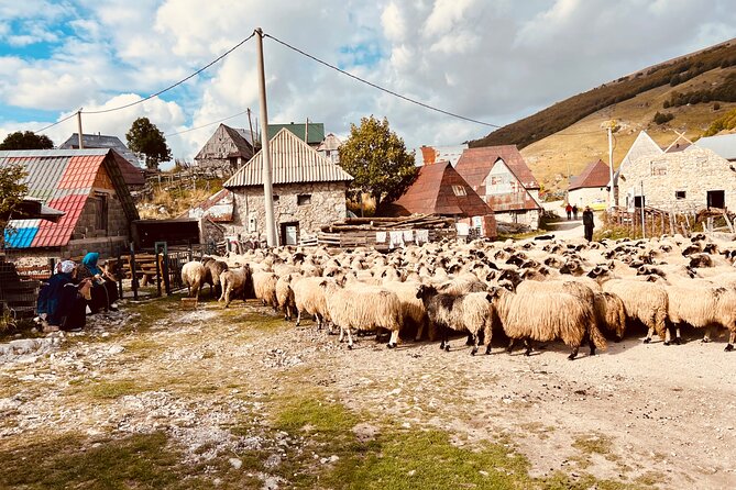 LUKOMIR VILLAGE HIKE & TREK TOUR (nature, hike, food & panorama) - What the $95.12 price includes
