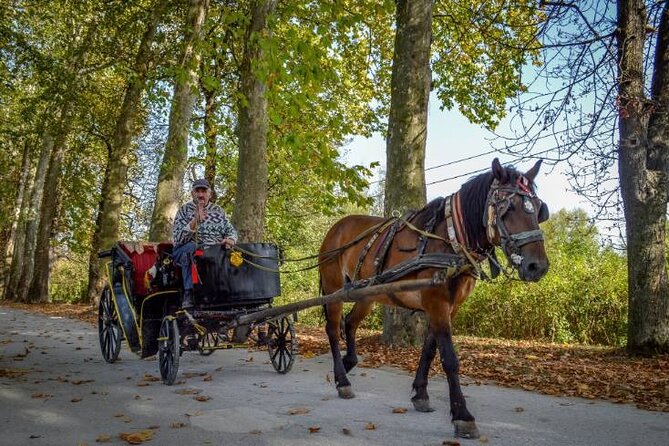 Private Carriage Ride in Vrelo Bosne Nature Park - Key points to know before booking