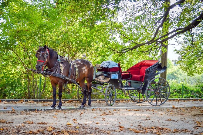 Private Carriage Ride in Vrelo Bosne Nature Park - Why the Great Alley makes this ride special