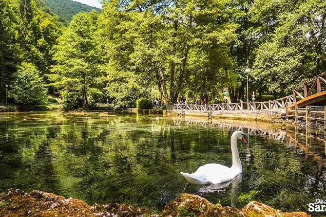 Private Carriage Ride in Vrelo Bosne Nature Park - The return ride and the value of a private group