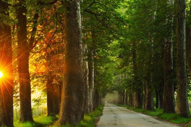 Private Carriage Ride in Vrelo Bosne Nature Park - A practical look at service and reliability