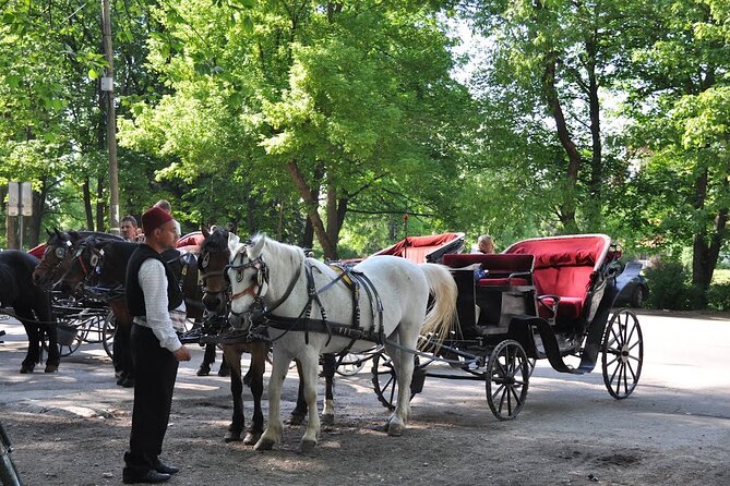 Private Carriage Ride in Vrelo Bosne Nature Park - Timing, weather, and cancellation advice