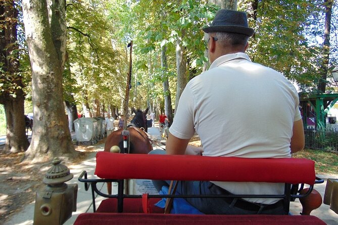 Private Carriage Ride in Vrelo Bosne Nature Park - The 3.5-kilometer tree-lined ride