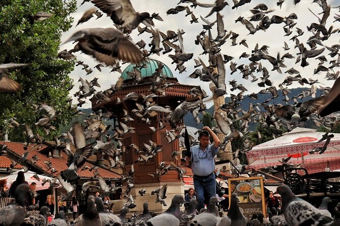 Private Sarajevo Grand Tour: Included Pick-up & Entrance Fees - Olympic memories above the city