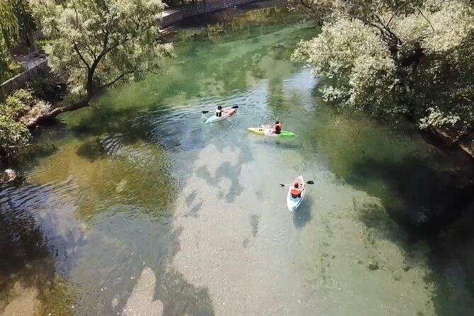 Safari kayak adventure w BBQ & Beer - Who will enjoy this most