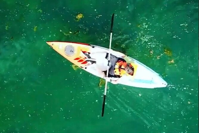 Safari kayak adventure w BBQ & Beer - Practical advice before you book