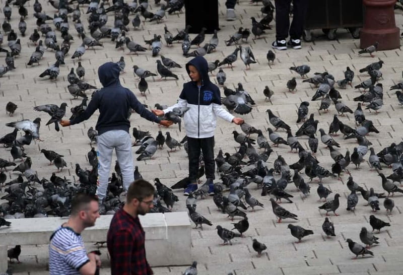 Sarajevo: Best of Sarajevo – Ultimate Full-Day Experience - Price, transport, and the real value