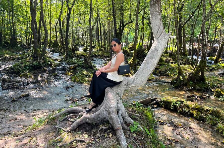 Sarajevo: Jajce Waterfall, Travnik & Pliva Lake Tour - The guide is a major part of the value