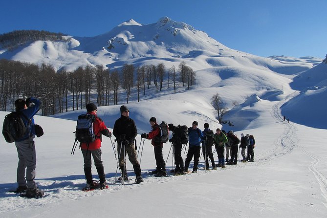 Sarajevo Snowshoeing Adventure - Snowshoeing through beech forest
