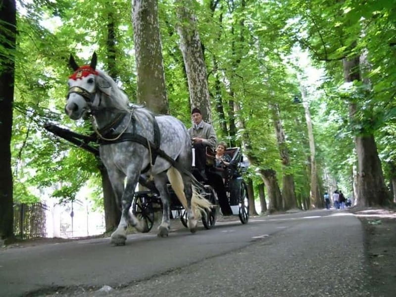 Sarajevo: Vrelo Bosne Nature Park Private Tour - Leaving Sarajevo for Vrelo Bosne