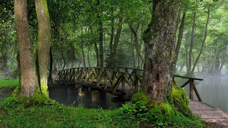 Sarajevo: Vrelo Bosne Nature Park Private Tour - Vrelo Bosne, where the Bosna River begins