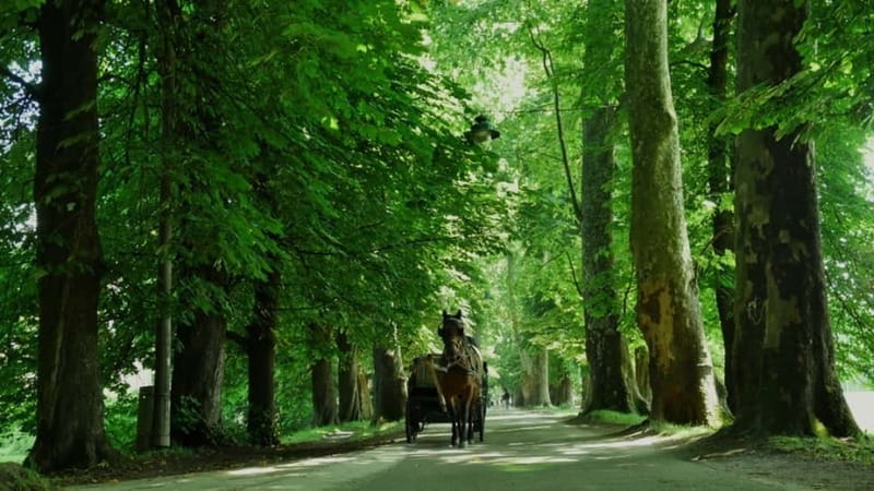 Sarajevo: Vrelo Bosne Nature Park Private Tour - The cool air from Mount Igman