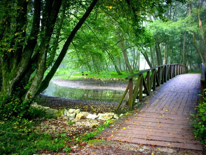 Sarajevo: Vrelo Bosne Nature Park Private Tour - What the guide adds to the experience