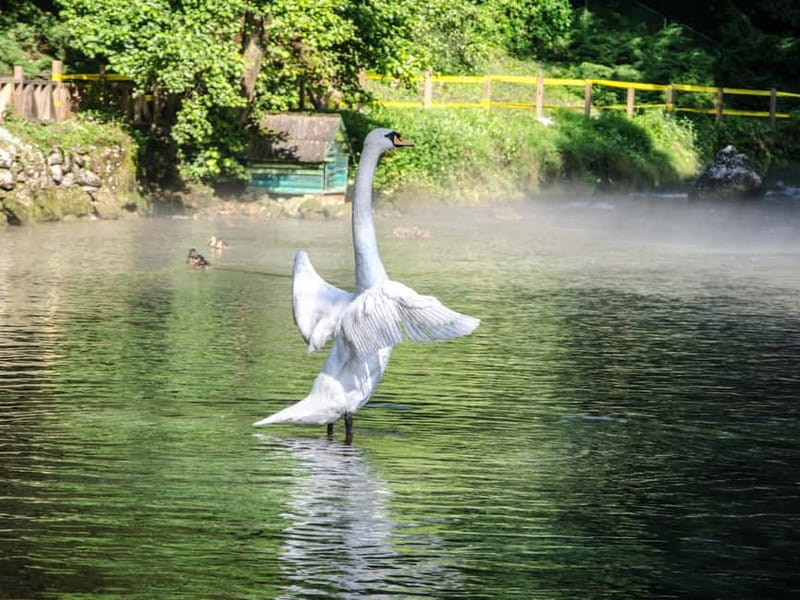 Sarajevo: Vrelo Bosne Nature Park Private Tour - Is $82 per person good value?