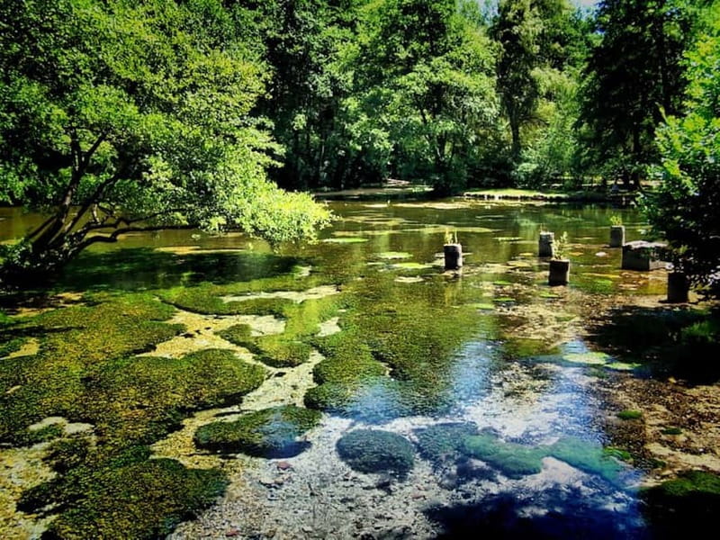 Sarajevo: Vrelo Bosne Nature Park Private Tour - How to use the three hours well