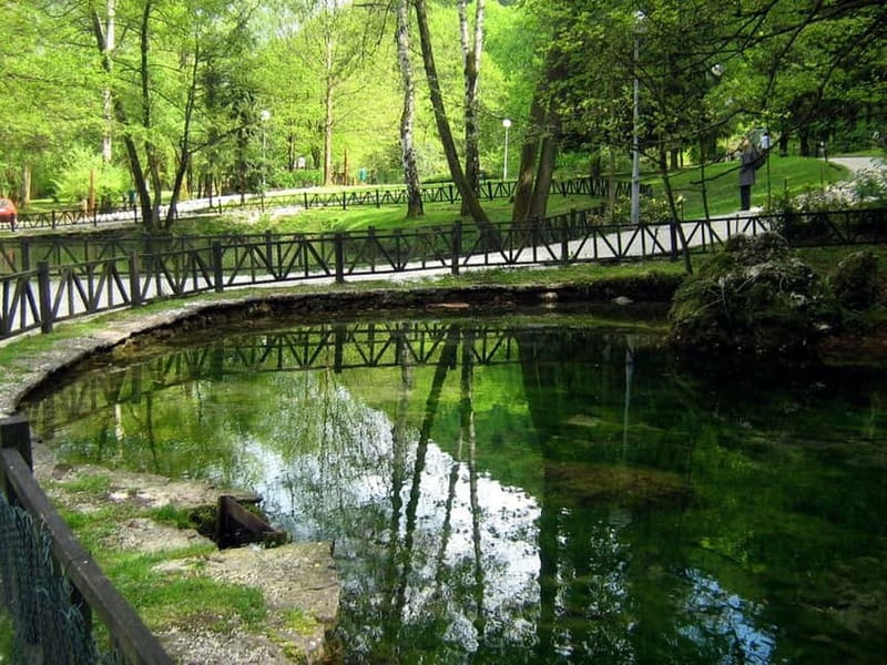 Sarajevo: Vrelo Bosne Nature Park Private Tour - Velika aleja and the optional carriage ride