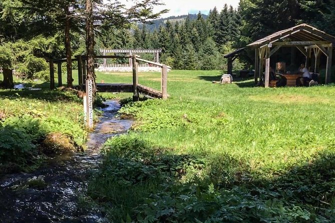 Skakavac Waterfall Hike - From Sarajevo - Walking through forests, streams, and cliffs